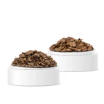 عروض العود نهاية العام