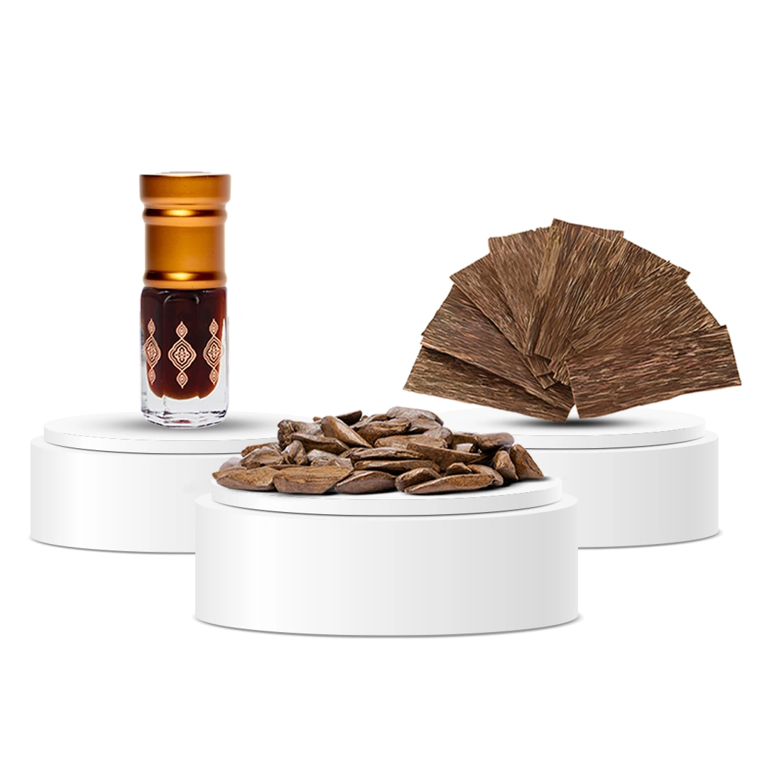 رمضان عودjpg (1) عروض العود