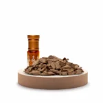 عروض يوم التأسيس